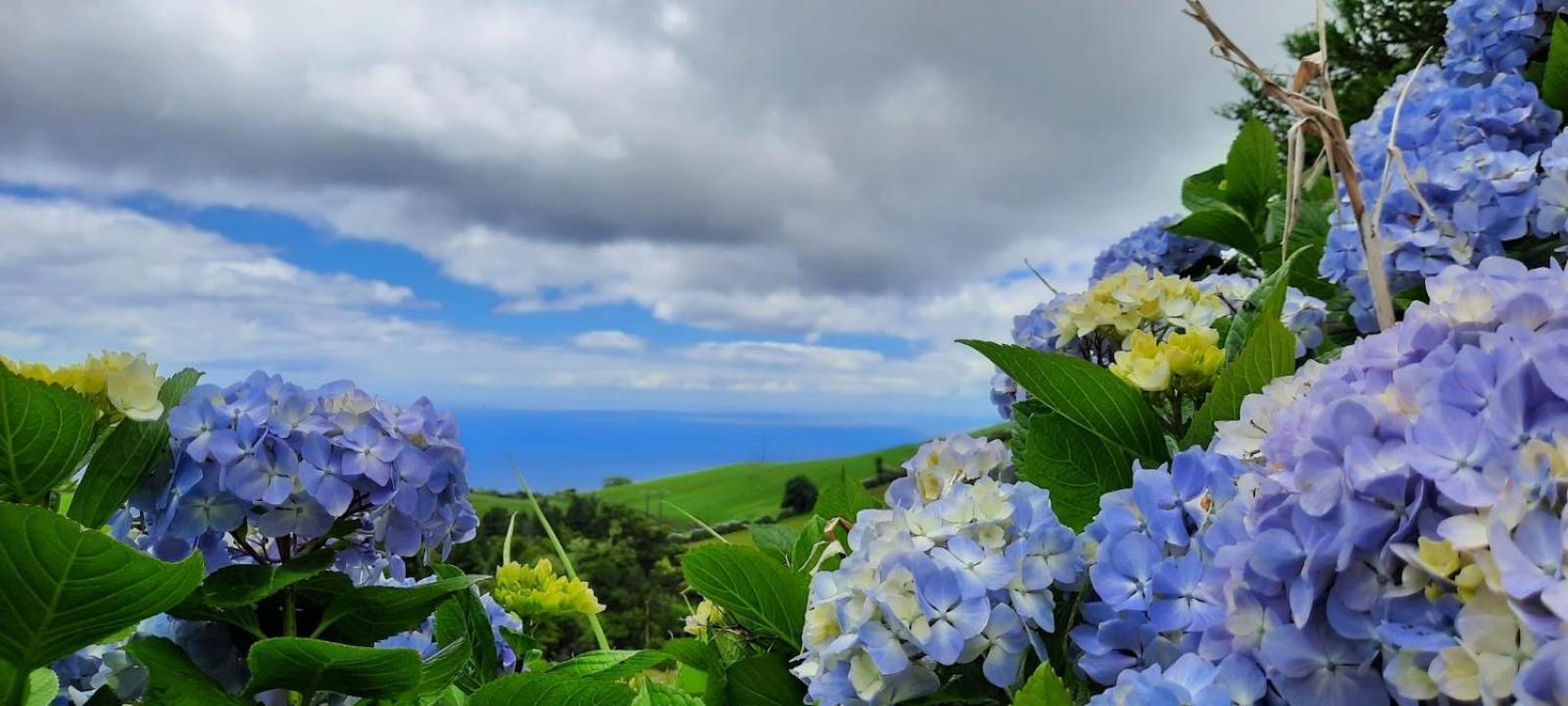 Quinta Da Espadana Povoacao  Exteriér fotografie
